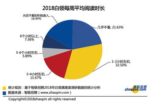 互聯網數據資訊中心199it 專業互聯網數據服務領航者